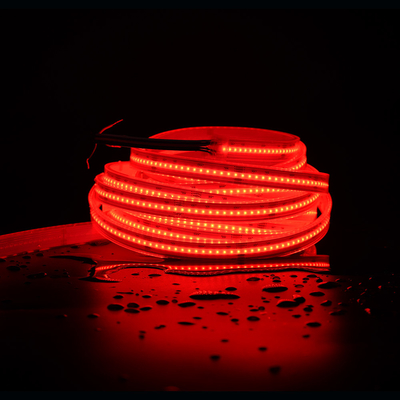 đèn dải LED thương mại nhà máy chuyên nghiệp đầy đủ màu sắc RGBW đèn dải thông minh ip20 ip65 COB LED Strips
